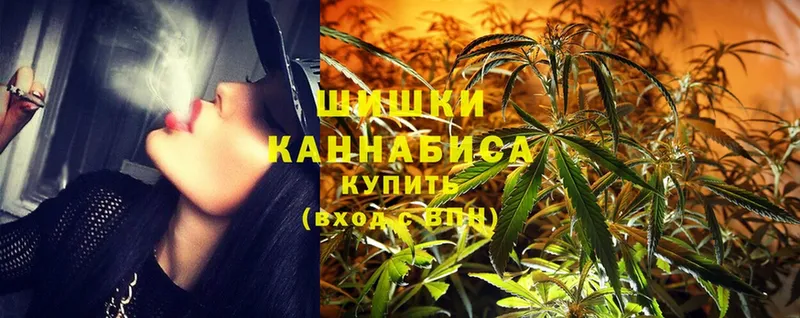 купить наркоту  Краснозаводск  Марихуана White Widow 